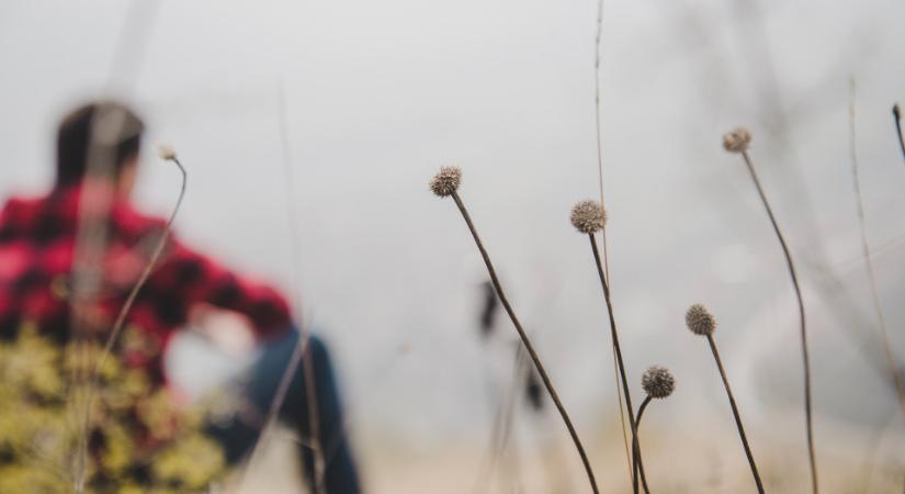 Párás, ködös időjárás várható kedden, a közlekedőknek fokozottan kell figyelniük