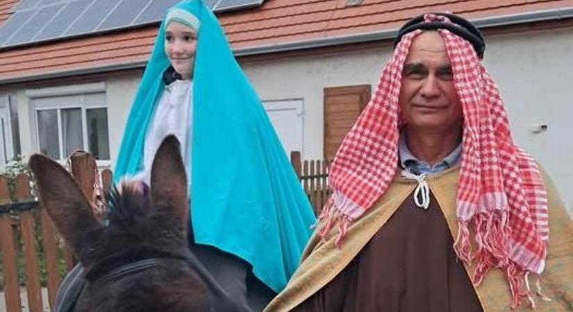 Pipacs, a farm derék csacsija remekül alakította szerepét (fotó)