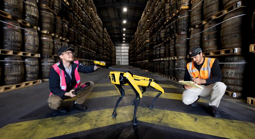 Robotkutyk segtenek a whiskygyrtknak kiszagolni az etanolszivrgst