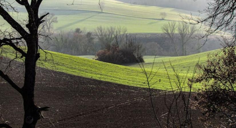 Haszonbérlet, öröklés, földtulajdon: jönnek az új szabályok