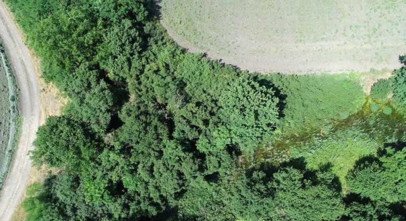 Vizet a tájba, de hogyan?