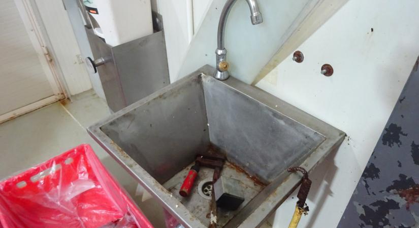 Gyomorforgató húsüzemre csapott le a Nébih – Az állati maradványokat a szomszédban ásták el