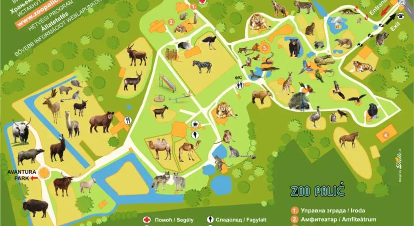 Pusztulnak és szenvednek az állatok a Palicsi Állatkertben (fotóval)