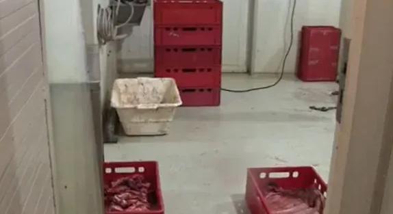 Vér és rozsda: horrorba illő vadhúsfeldolgozót záratott be a Nébih