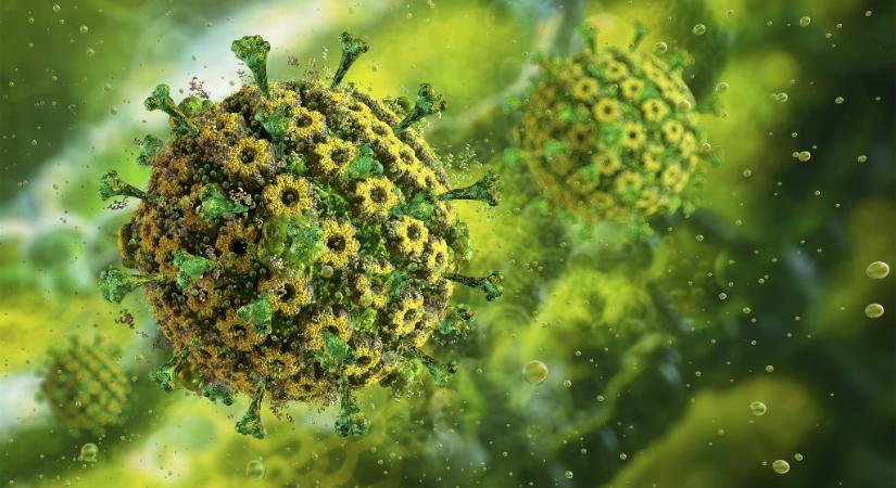 Mesterséges intelligenciával azonosították a herpeszvírusok gyenge pontját