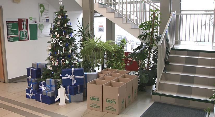 170 dobozt töltöttek meg adományokkal a Debreceni Szakképzési Centrum intézményének diákjai