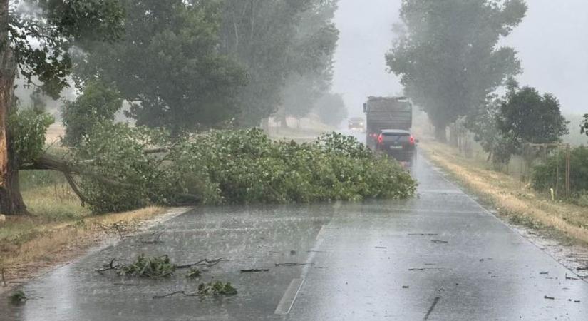 Az AI előre megjósolja milyen lesz egy vihar vagy hurrikán
