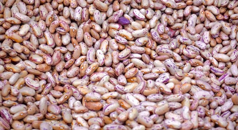 Adócsalás paszullyal