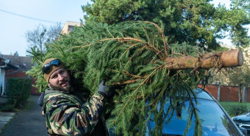 Egy helyi vállalkozó és sok-sok gyerekek jóvoltából került karácsonyfa a barcsi hivatásosokhoz