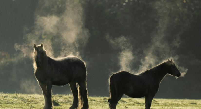 Ónos eső is eshet a következő napokban
