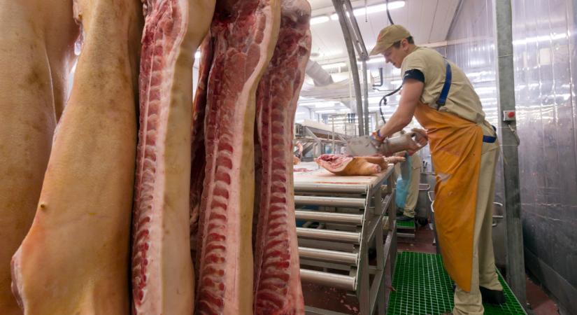 Lehet, te is innen származó húst vettél: horrorüzemet záratott be a Nébih, undorító, amit az ellenőrök találtak