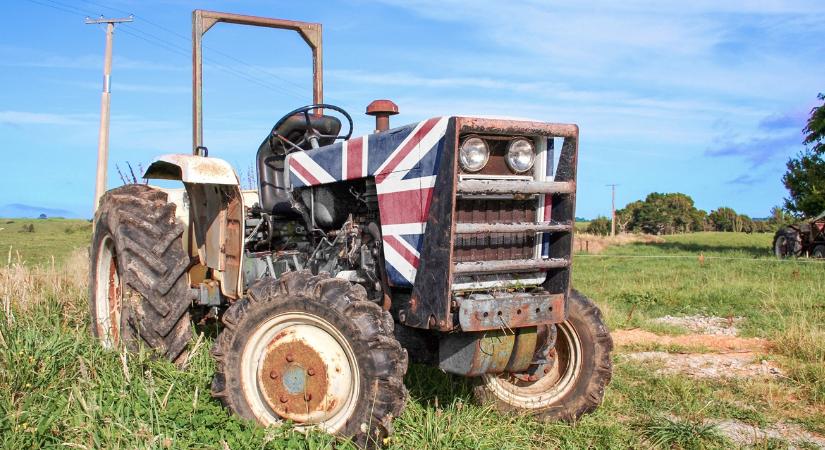 Vérre megy: szörnyű dilemmák gyötrik a brit gazdákat