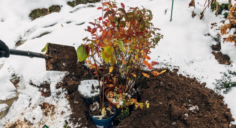 A kert 5 legjobb hőtartó anyaga – profi magyarázattal