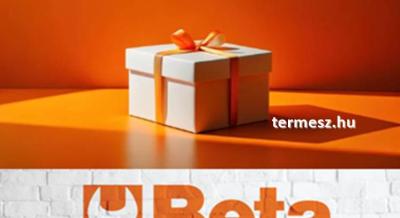 „Warm glow of giving”, azaz az adakozás meleg fénye, ragyogjon idén Karácsonykor is a fa alatt!