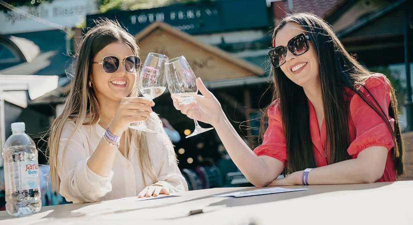 Szüret a Szépasszony-völgyben 2026 Eger