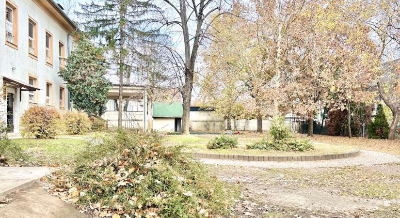 16 millió forint gyűlt össze a Bagolyvár karácsonyfája alá