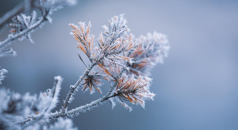 Csavart vett az időjárás itthon: itt már fehérbe borultak a fák
