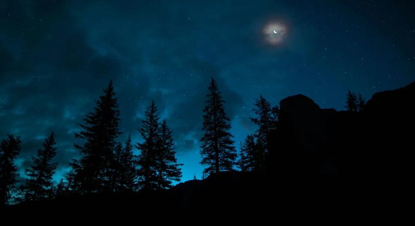 Kétéves kislányt találtak mezítláb az erdőben, majd a rendőrség szörnyű dolgot fedezett fel