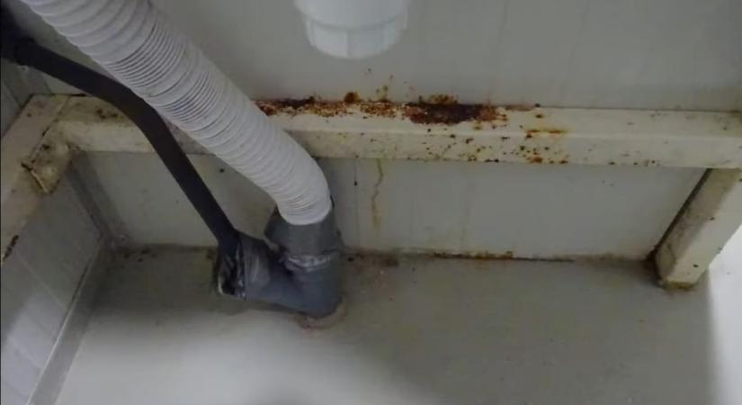 Véres tócsa, rozsda, horrorisztikus körülmények – vadfeldolgozót záratott be a Nébih