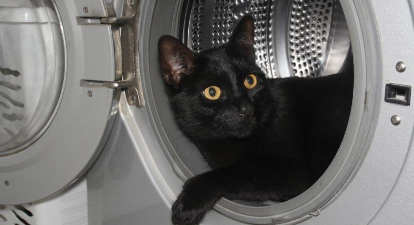 Újabb vámot vet ki az Európai Unió a mosógépekre, hűtőkre és autóalkatrészekre