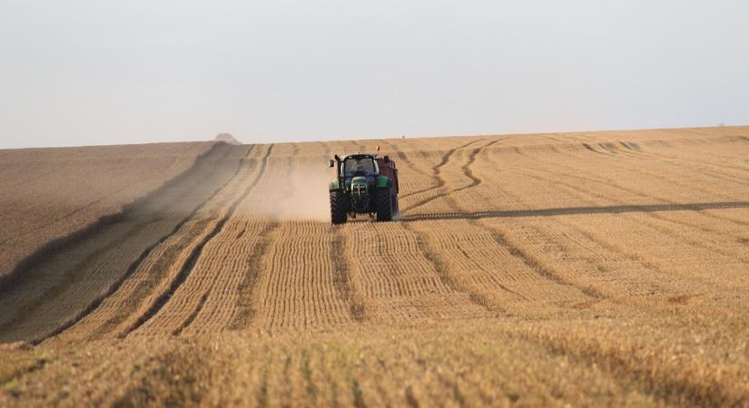 Orosz búza, amerikai kukorica: ezekkel van tele a világpiac