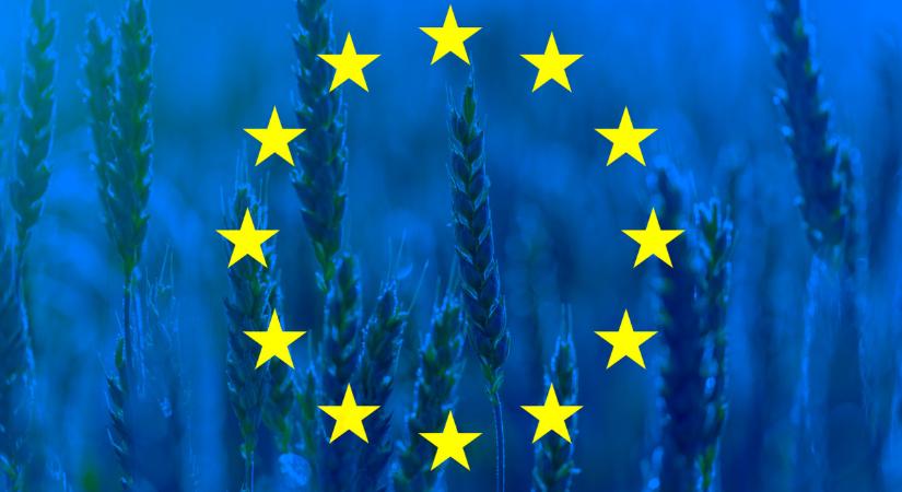 Feláldoznák a gazdákat a profit oltárán? Kiállt az EP-képviselő a termelőkért