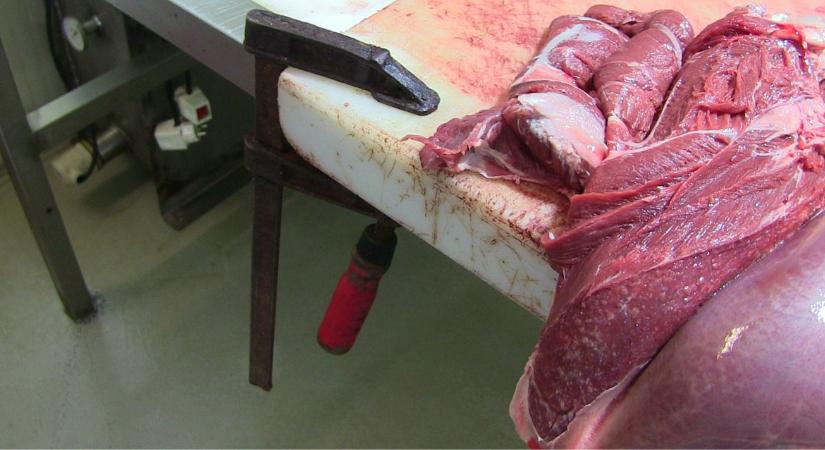 Azonnali felfüggesztés: veszélyes élelmiszerek miatt záratott be egy vadfeldolgozót a Nébih