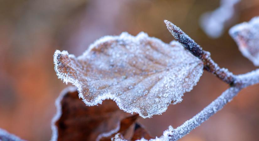Alig lesz néhány fagyos napunk decemberben