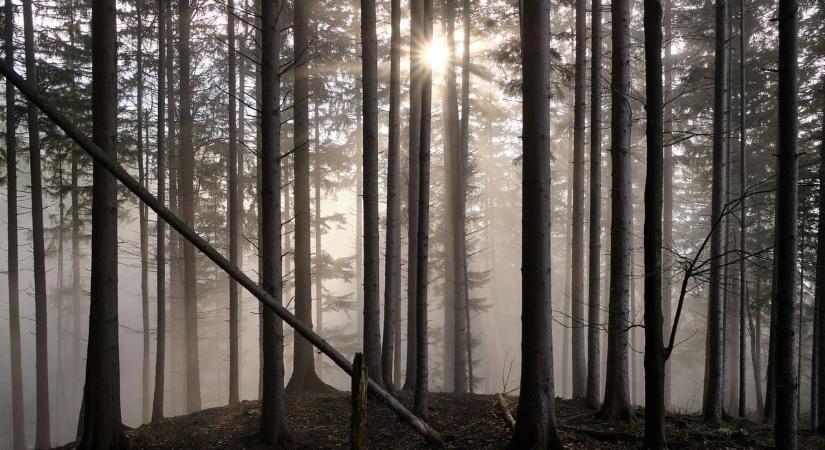 Végre! Ekkor bukkanhat elő a nap Magyarországon, már nem kell sokat várni