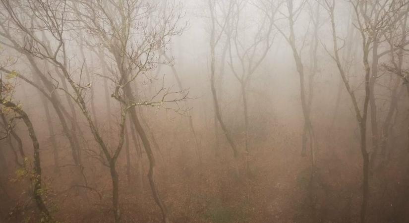 Köd, szitálás és hűvös levegő: így alakul a szerda Heves vármegyében