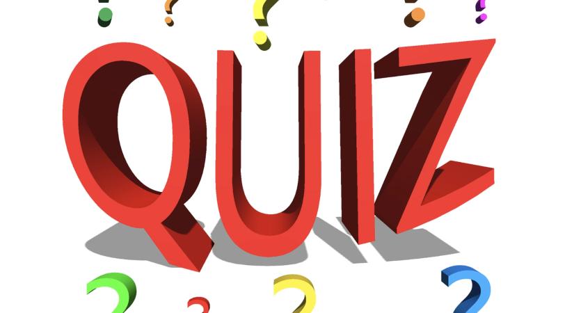 Aki jó a kvízjátékban, az jó az üzleti életben is