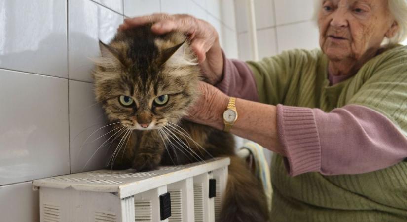 60 ezer forintnyi támogatást kaphatsz a fűtésre, csak kérni kell