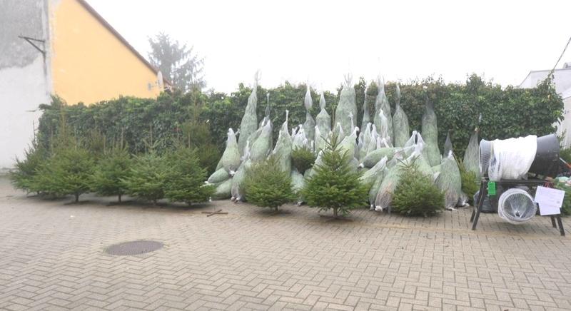 Bőséges a kínálat