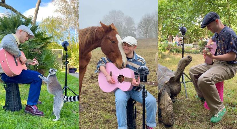 „Az állatok nem ítélkeznek” – Plumes, a francia művész zenéjéhez a legkülönfélébb fajok kapcsolódnak