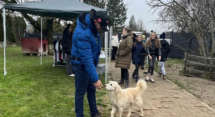 Kutyák karácsonyát tartották hétvégén a Nektek Ugatunk Állatvédő Egyesületnél