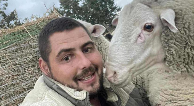 „Mindegyik tanít valamit” – beszélő, oktató bárányok élnek János farmján