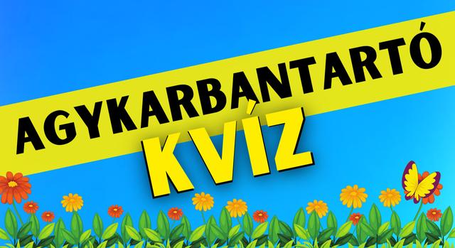 Napi agykarbantartó: Fejleszd az elméd! – Emlékszel, hol bújt meg a piros virág?