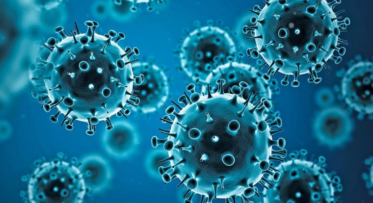 Kemenesi Gábor szerint nincs itt semmiféle szuperinfluenza