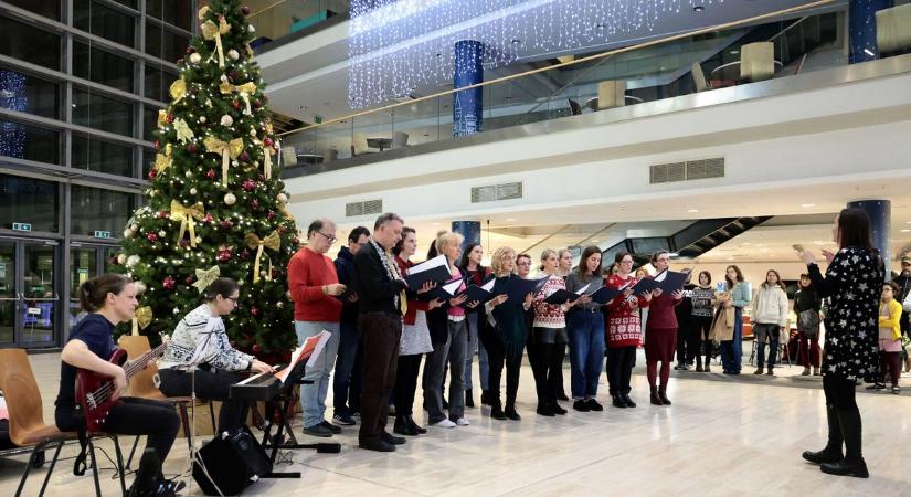 Nem mindennapi előadás töltötte meg a TIK épületét, a könyvtár dolgozói most egészen más arcukat mutatták meg