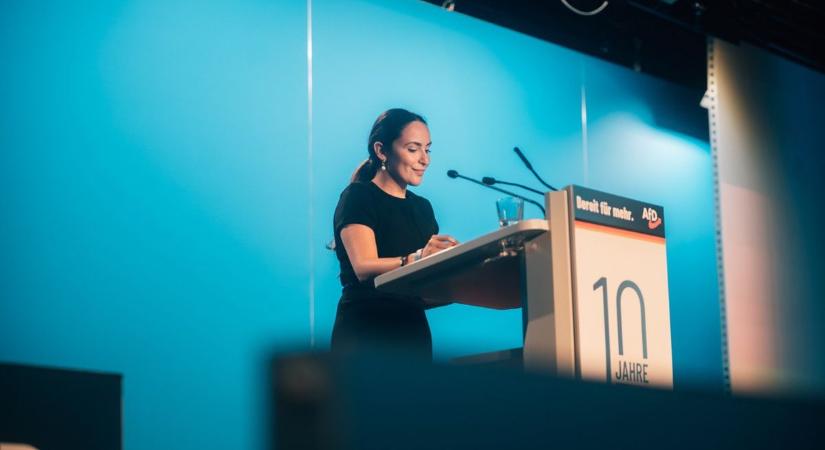 A magyar ellenzék tanulhatna a német politikustól: így kell kiállni Magyarország mellett (Videó)