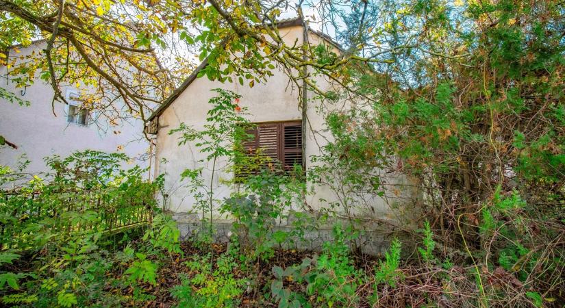 Rejtély a Mátrában: mindent hátrahagyva tűnt el az erdész – Galéria!