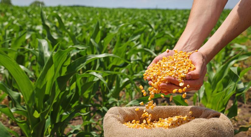 Megjelent az Agro Napló legújabb száma: erről nem szabad lemaradni