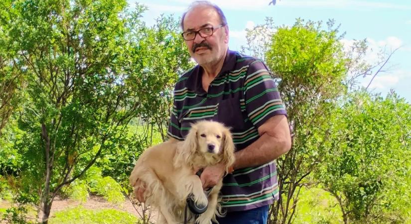 Kutyástul, autóstul tűnt el egy osztrák férfi Mosonmagyaróváron – képek