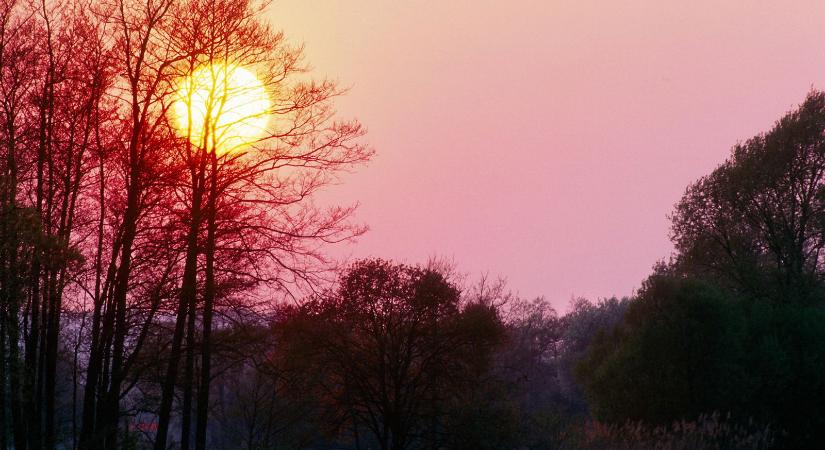 Több száz kilós fenevadak úsztak át egy magyarországi folyón, még a kamera sem hitte el, amit rögzített a horgász