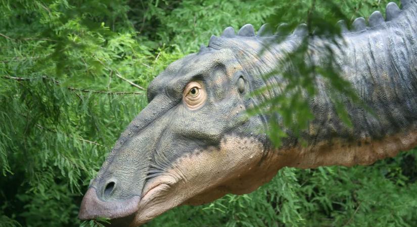 Szenzációs felfedezés a dinókkal kapcsolatban