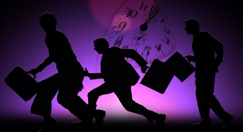 Közel 758 millió forint kárt okozott a költségvetésnek a Bács-Kiskun vármegyei vállalkozó