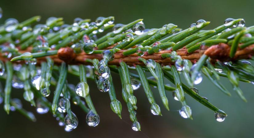 A szitálást eső is felválthatja szerdán