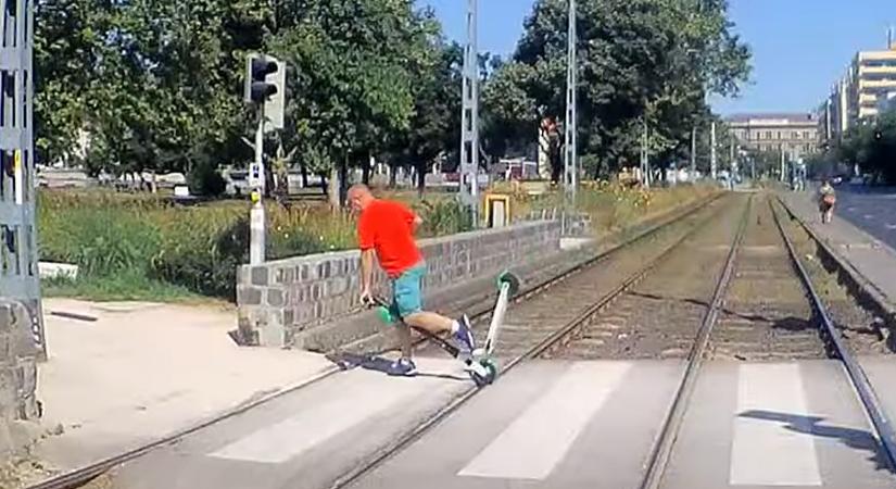 A budapesti villamosvezető megmutatja, mennyi gyökér van az utakon