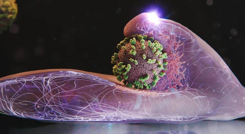 Tombol a szuperinfluenza, a koronavírus óta nem tapasztaltak ilyen súlyos járványt