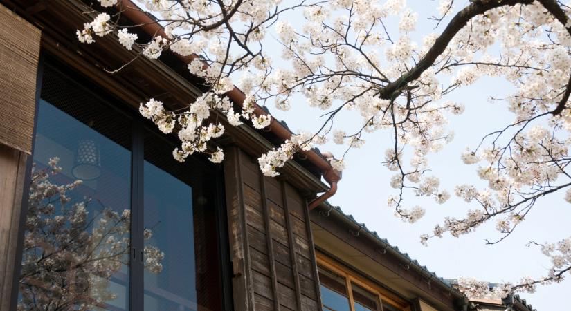 Kültéri felújítások, amiket messziről kerülj, ha növelni akarod a házad értékét